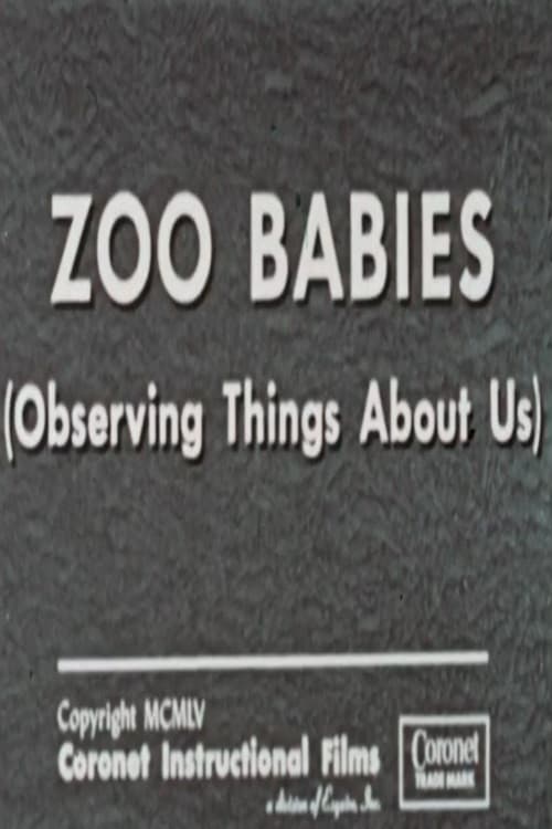 Zoo Babies (Observing Things About Us) poster