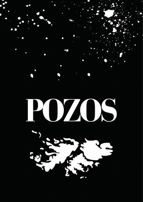 Pozos poster