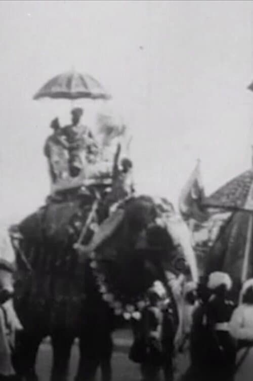 Procession of Elephants with Howdahs - India poster