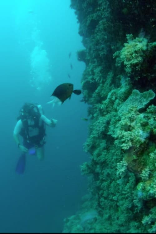 Wonders of the Great Barrier Reef with Iolo Williams poster