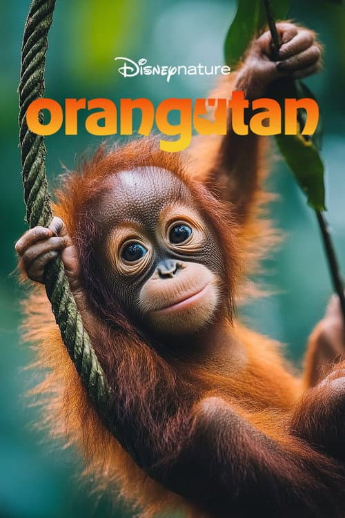 Orangutan poster