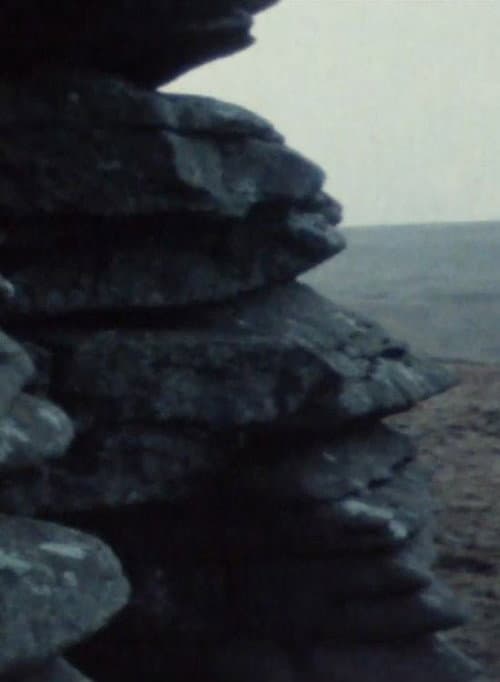 Dartmoor poster
