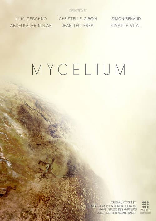Mycelium poster