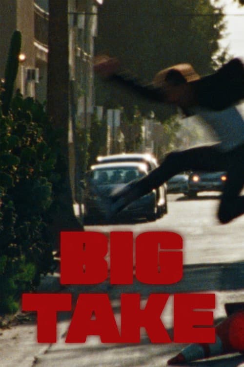Big Take poster
