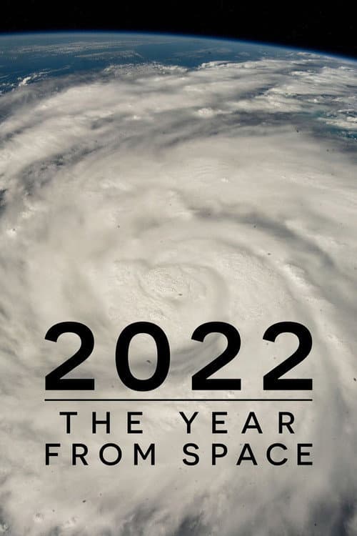 2022: The Year from Space poster