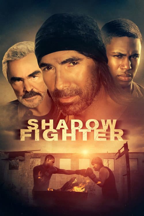 Shadow Fighter poster