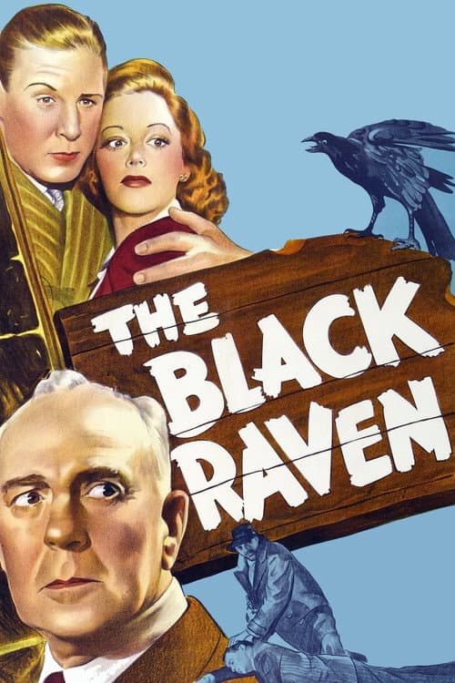 The Black Raven poster