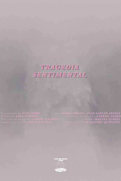 A Sentimental Tragedy poster