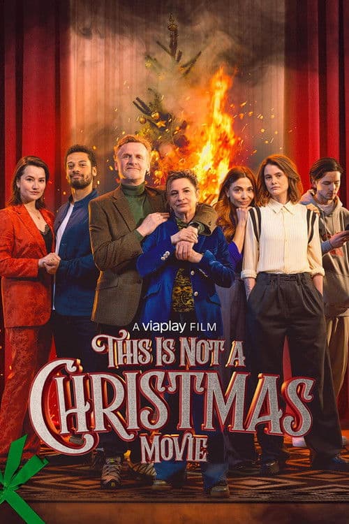 This Is Not a Christmas Movie poster