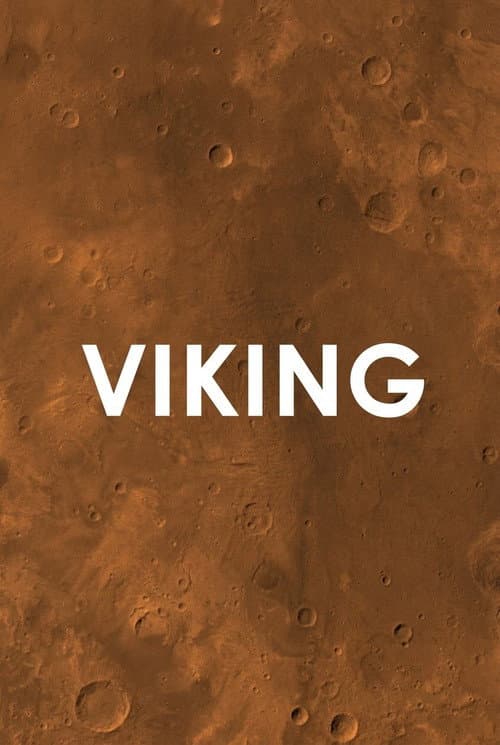 Viking poster