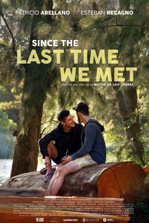 Since the Last Time We Met poster