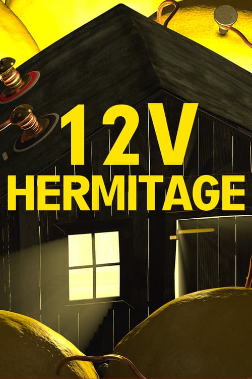 12V Hermitage poster