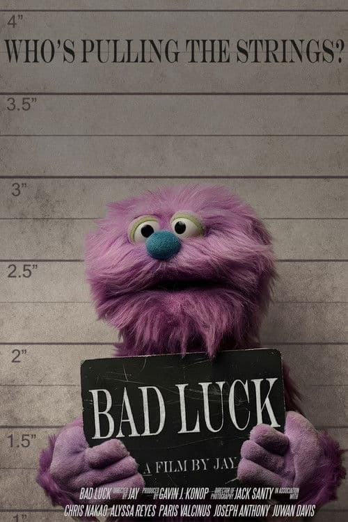 Bad Luck poster