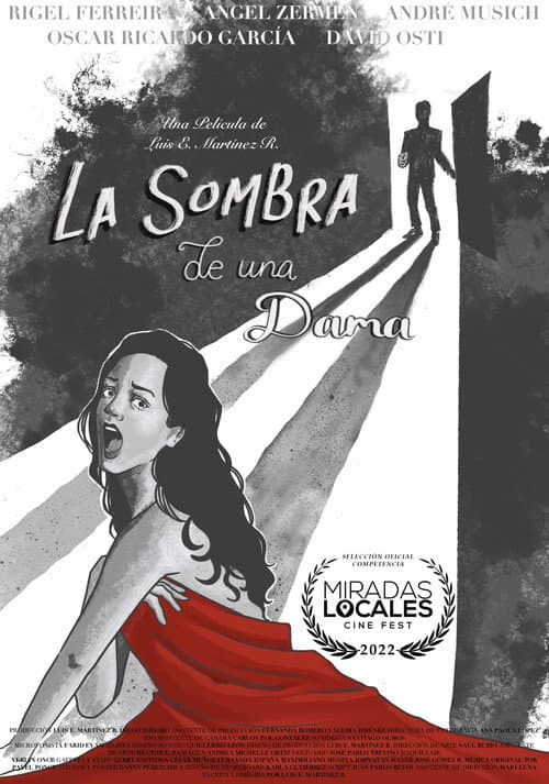 A Lady's Shadow poster