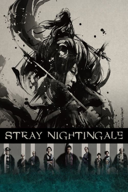 Stray Nightingale poster