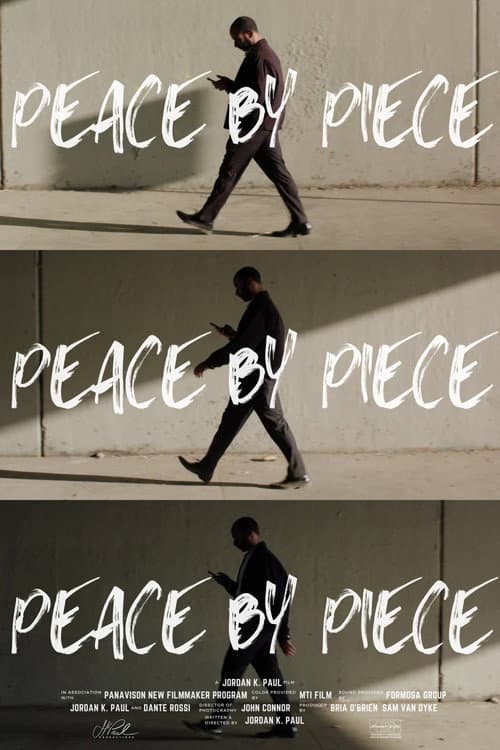 Peace by Piece poster