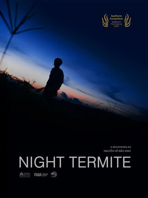 MỐI ĐÊM poster