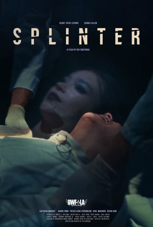 Splinter poster