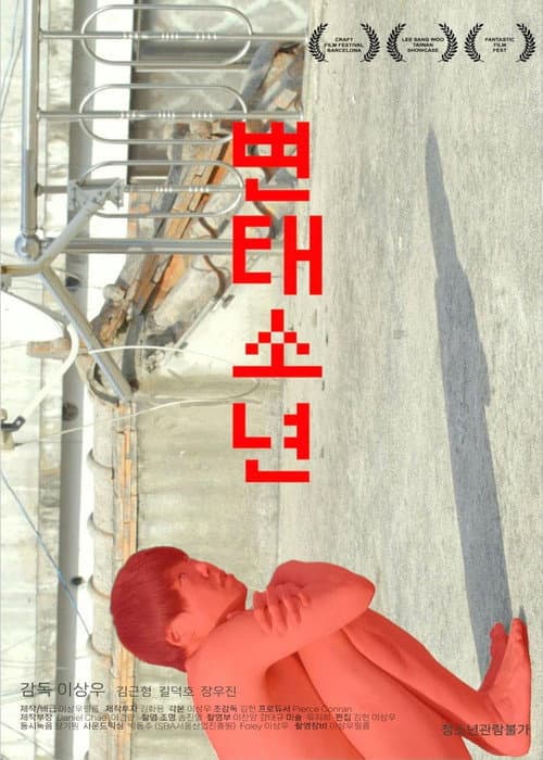 Pervert Boy poster