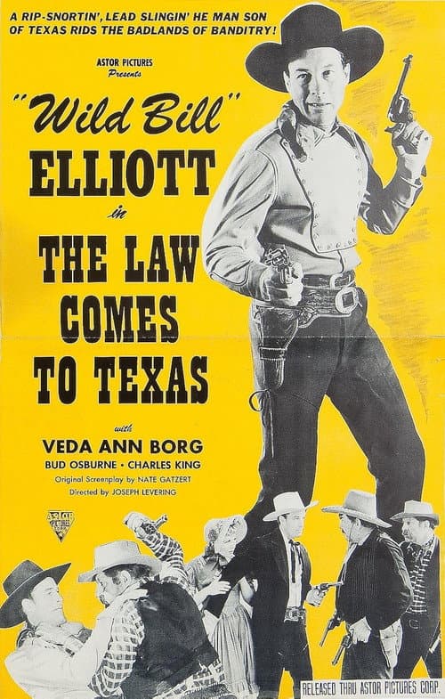 The Law Comes to Texas poster