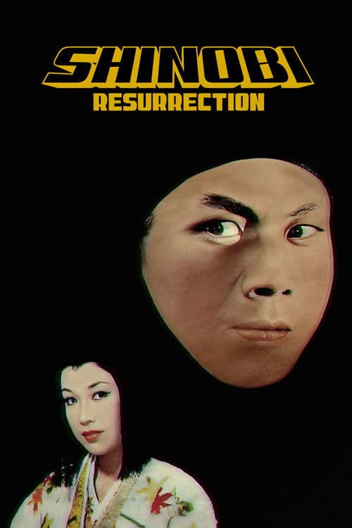 Shinobi no Mono 3: Resurrection poster