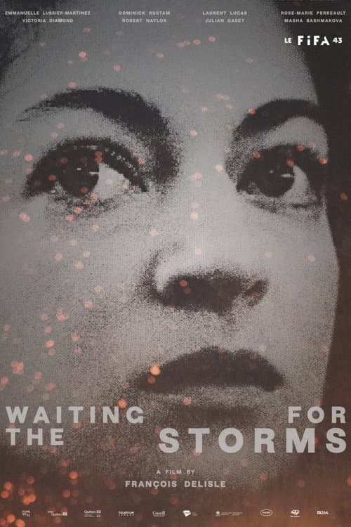 Waiting for the Storms poster