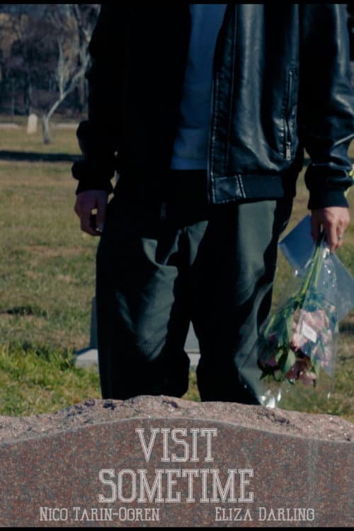 Visit Sometime poster