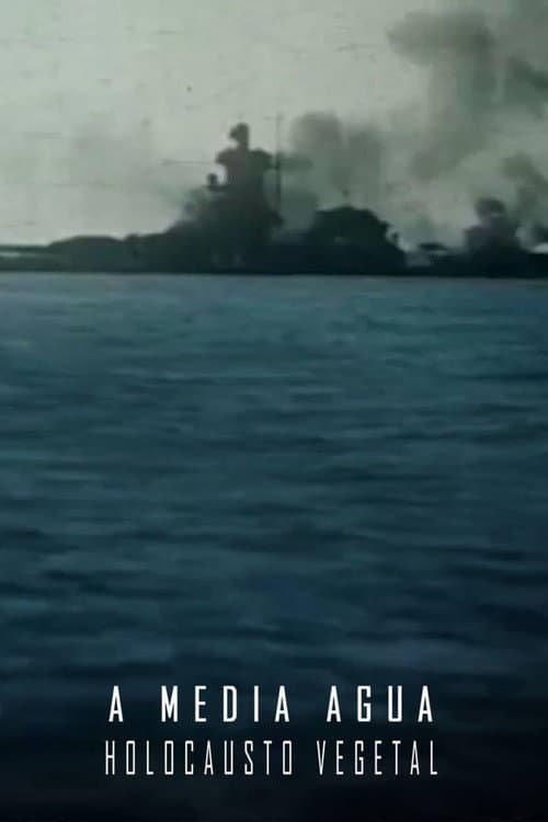 A Media Agua poster