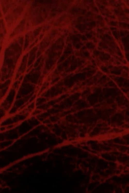 Bad Blood poster