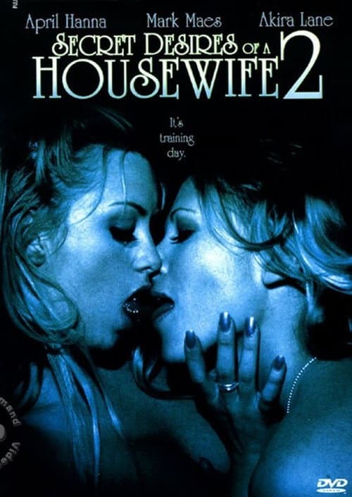Secret Desires of a Housewife 2 poster