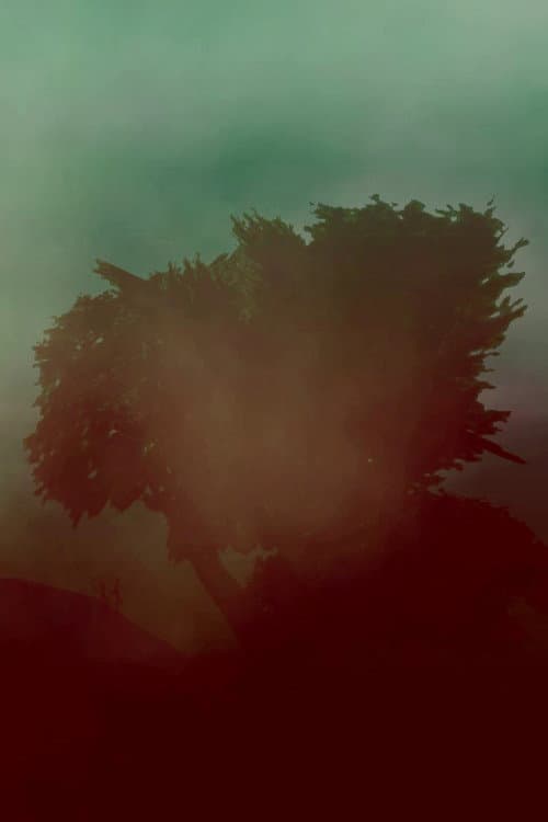 Endless Sea poster