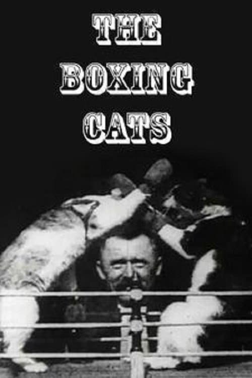 The Boxing Cats (Prof. Welton's) poster