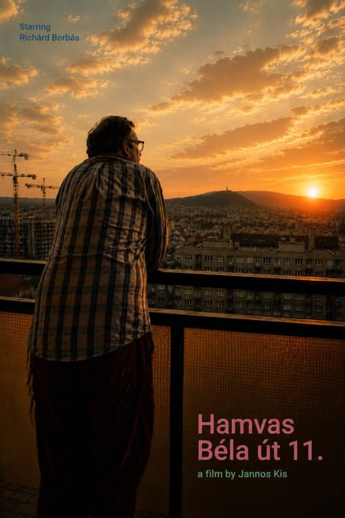 Hamvas Béla út 11. poster