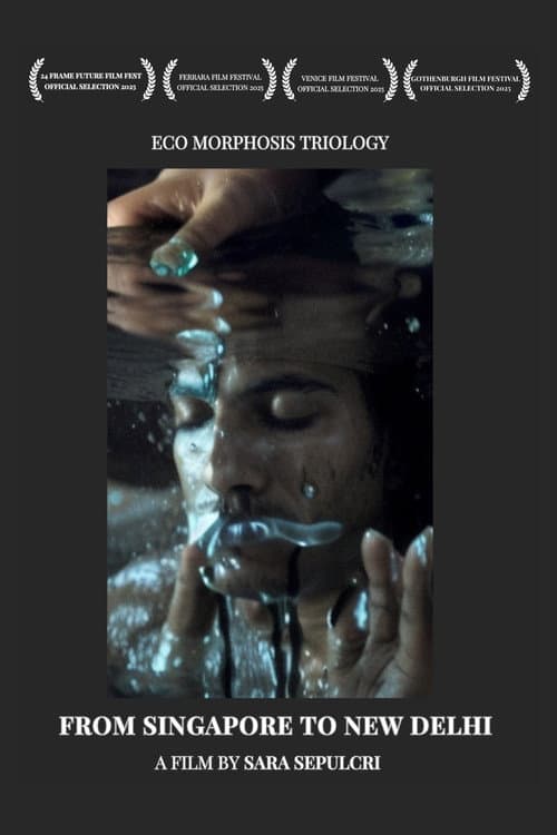 From Singapore to New Delhi poster