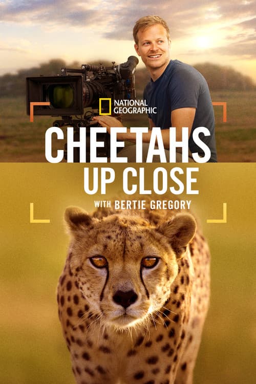 Cheetahs Up Close with Bertie Gregory poster
