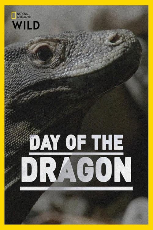 Day of the Dragon poster