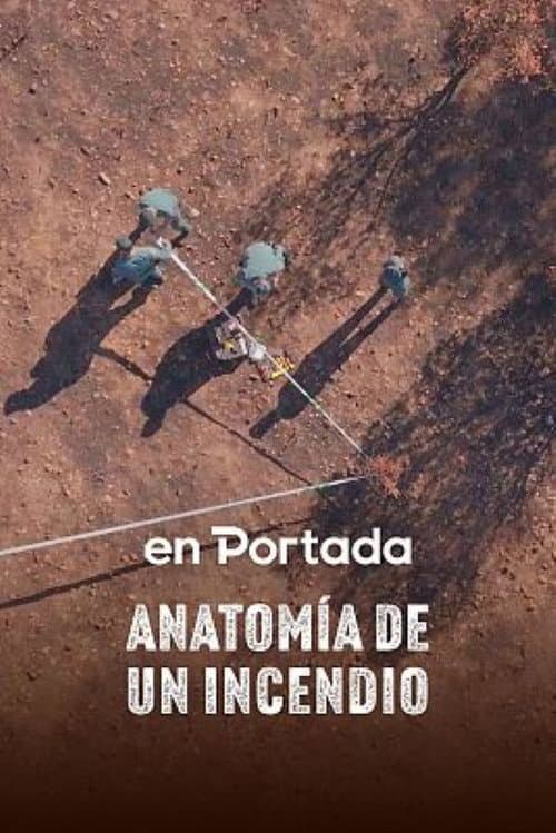 Anatomía de un incendio poster