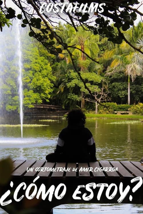 ¿Cómo estoy? poster