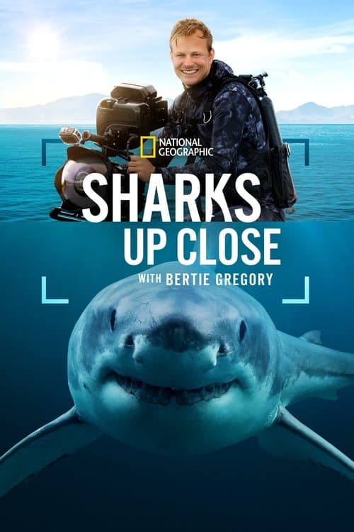 Sharks Up Close with Bertie Gregory poster