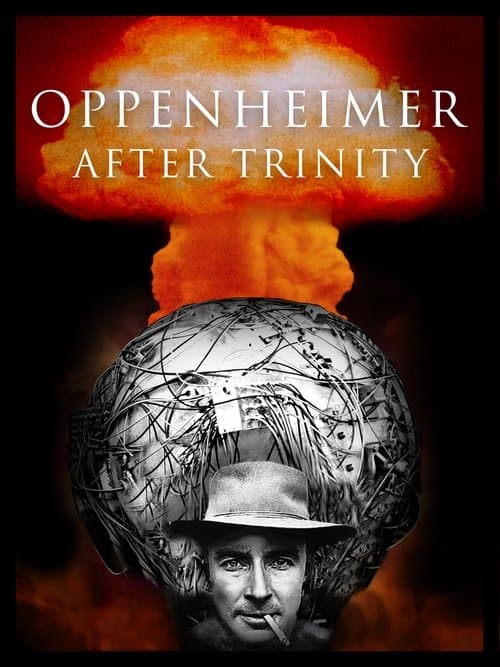 Oppenheimer After Trinity poster