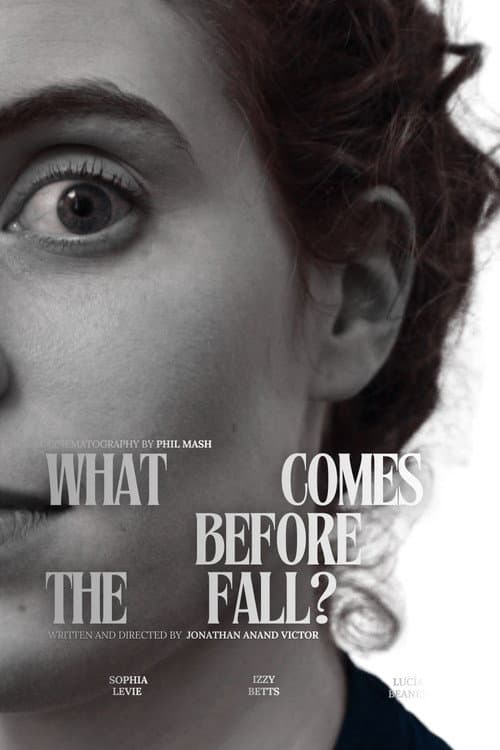 What Comes Before the Fall? poster