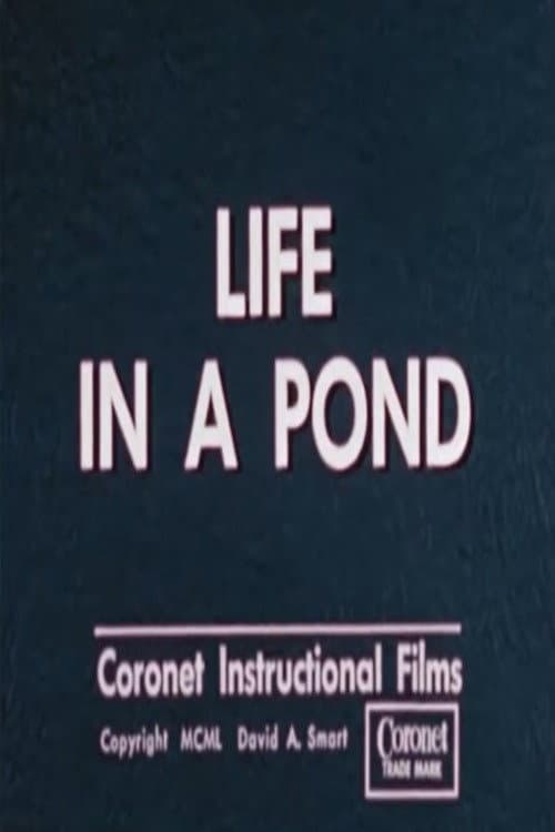 Life in a Pond poster