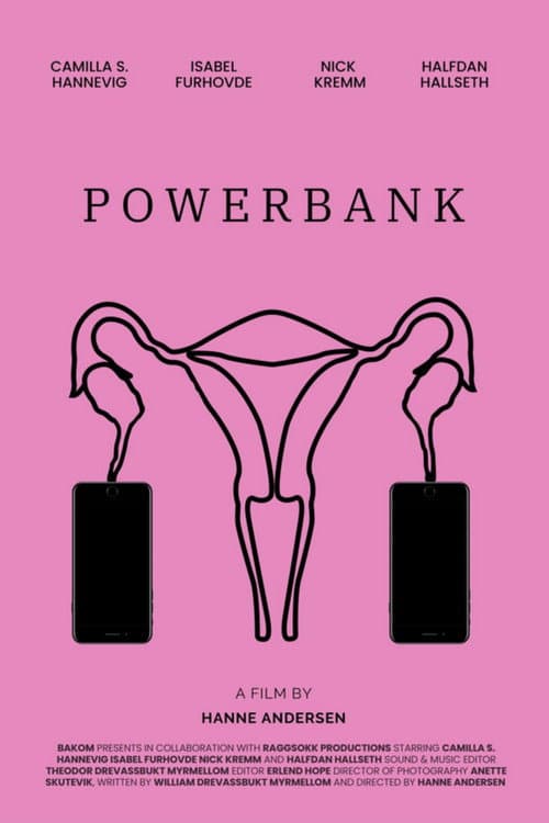 Power Bank poster
