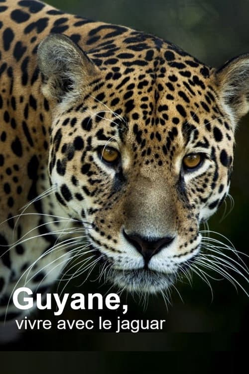 Guyane, vivre avec le jaguar poster