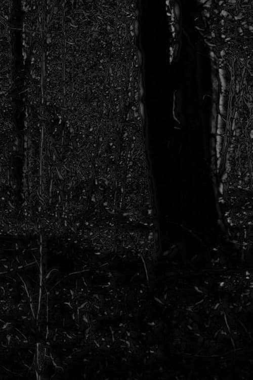 Phosphenes II poster