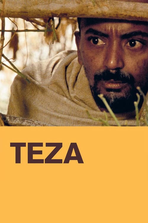 Teza poster
