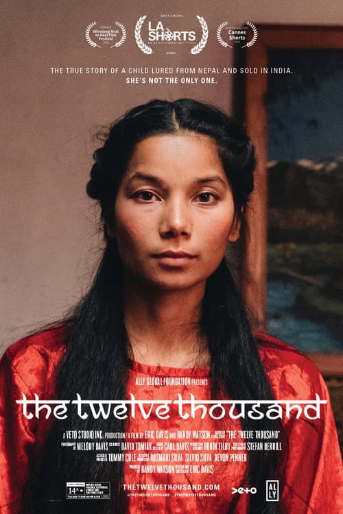 The Twelve Thousand poster