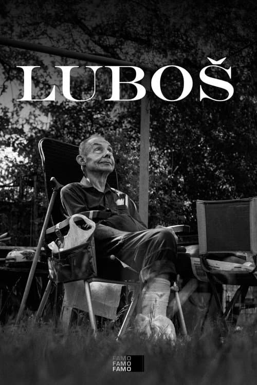 Luboš poster