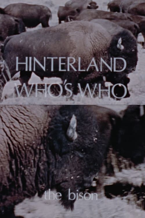 Hinterland Who's Who: The Bison poster