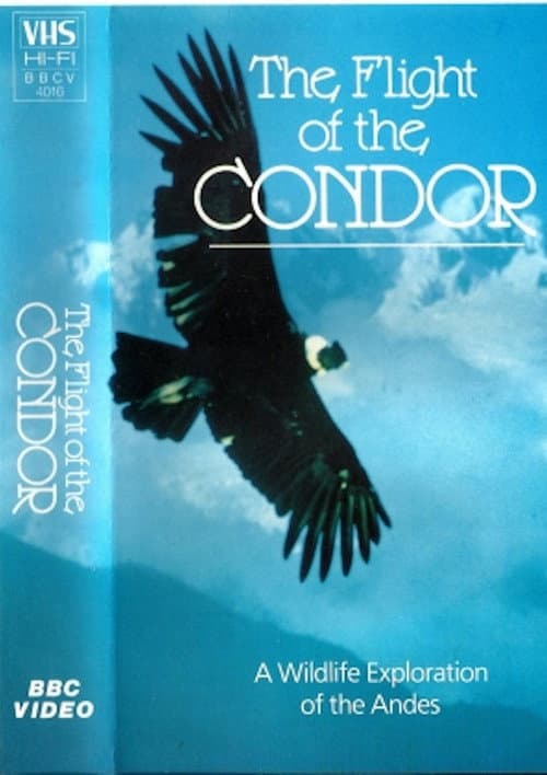 The Flight of the Condor poster